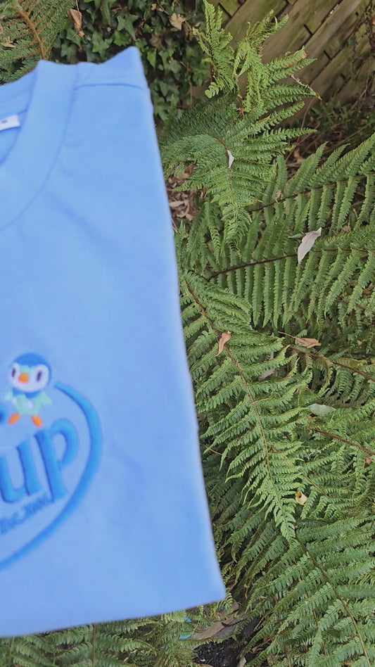 Cute Kawaii Embroidered T-shirt | Cute Collectible Gifts